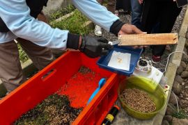 Ekonomi sirkular dari Desa Payakabung di Ogan Ilir Sumatera Selatan