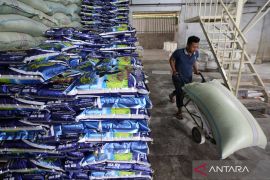 Zulhas klaim tidak ada impor beras pada 2025