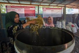 Pemanfaatan limbah pertanian dan peternakan di Padang Pariaman Page 2 Small