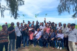 Pemprov Maluku kembangkan 5.000 hektare kakao jadi komoditas unggulan, begini kata Wagub