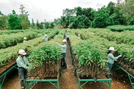 Konsisten pemberdayaan masyarakat, Grup MIND ID raih tiga penghargaan Subroto Award 2025