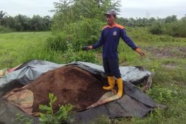 Dari lahan tidur ini, Warga Mekar Sari Dumai kini lebih mandiri hasilkan sumber energi pertanian terintegrasi peternakan