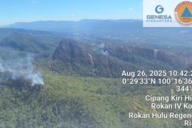 Riau deploys waterbombing helicopters to contain hilltop forest fires