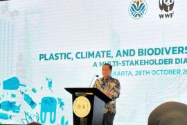 Indonesia to block coal ships in Mahakam to protect endangered dolphin