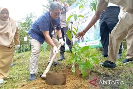 Pelindo Pangkalbalam Babel tanam ratusan pohon tabebuya di Hutan Wisata Tua Tunu