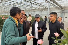 PWNU Jatim kunjungi industri perkebunan modern di Tiongkok