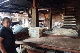 Harga relatif stabil, perajin tahu tempe Lampung masih andalkan kedelai impor