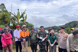 BKSDA sebut ada luka pada harimau yang masuk perangkap di Lambar