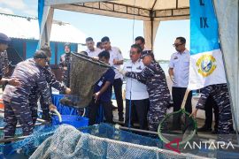 Dukung ketahanan pangan, TNI AL panen 150 kilogram ikan di Maluku