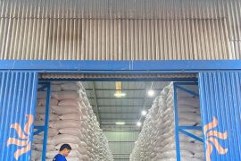 Cadangan beras Bulog Cabang Tulungagung cukup untuk 14 bulan ke depan