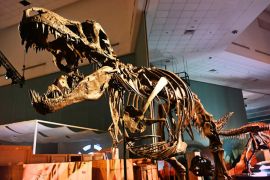 Singapore's Ultimate Prehistoric Adventure Begins at Science Centre Singapore