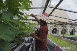 Kemenag tegaskan tak ada larangan beristirahat di masjid selama tetap jaga kesucian