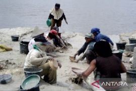 Ini alasan kompensasi bijih timah di penambang rakyat