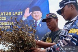 TNI-AL pastikan seluruh satuan jalankan program penanaman kedelai