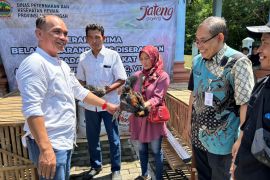 Sumanto serahkan bantuan ayam berharap bisa tingkatkan perekonomian warga
