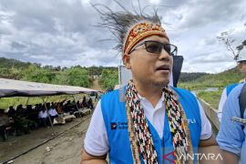 PLN percepat bangun listrik desa di 11 lokasi Pegaf