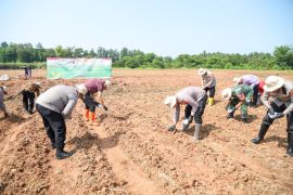 Polres Karawang tanam jagung hibrida di lahan seluas 12,5 hektare bekas pabrik Timor