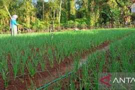 Jejak literasi keuangan dari pegunungan hingga kepulauan di wilayah Sulsel