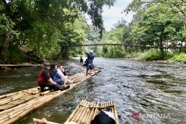 Meratus Dayak towards economically independent thanks to bamboo rafting