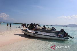 Upaya Balai Taman Nasional Komodo selamatkan kerugian PNBP