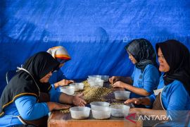 Penyerapan tenaga kerja dari industri kopi