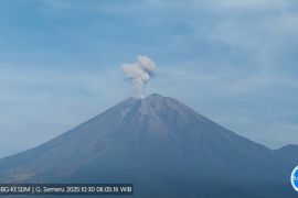 Semeru alami delapan kali erupsi dengan tinggi letusan 800 meter