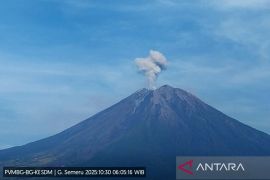 127 gunung berapi di Indonesia bersatus aktif