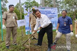 Pangkalpinang gencarkan penanaman pohon guna mitigasi perubahan iklim