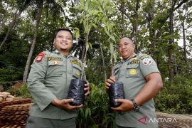 21 ribu polisi kehutanan harus jaga kawasan hutan