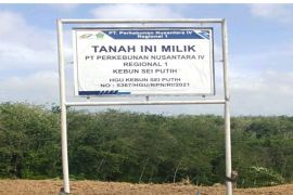 PTPN IV: Penanaman liar dilakukan Kelompok Tani SM di areal HGU