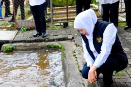 Khofifah siapkan ikan mas punten sebagai komoditas unggulan Jatim