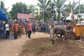 Kotawaringin Timur dukung pelaksanaan Tiwah tarik minat wisatawan