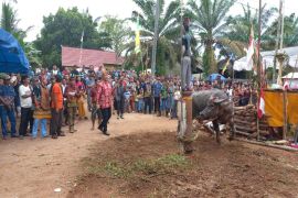 Disbudpar Kotim dukung Tiwah dikemas untuk menarik wisatawan