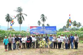 Kodaeral VIII panen delapan ton jagung di Tumaluntung, dukung ketahanan pangan