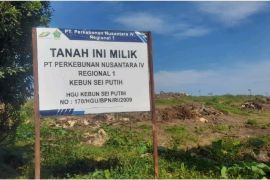 Manjemen PTPN IV sampaikan terjadi penanaman liar di areal HGU