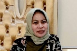 Dinkes upayakan RSUD Bobong dan Maba di Malut naik kelas