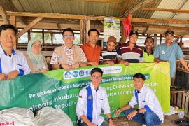 Inovasi inkubator pintar jadi solusi teknologi Unila untuk peternak kambing di Lamteng