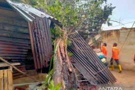 BPBD minta masyarakat Bangka Belitung waspada angin kencang selama musim hujan