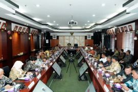 Pemerintah daerah dorong optimalisasi program usai revisi TKD