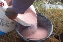 Prabowo ingin pupuk murah berkualitas dan optimalisasi DHE