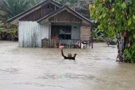 Waspada! Gempa bumi, hujan, dan banjir di Kabupaten Sarmi, Papua
