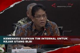 Kemenkeu siapkan tim internal untuk kejar utang BLBI