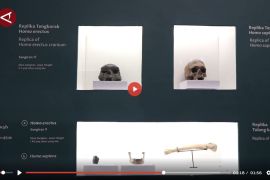 Indonesia sambut pemulangan 28.131 fosil teridentifikasi dari Belanda - VIDEO