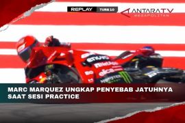 Marc Marquez ungkap penyebab jatuhnya saat sesi practice