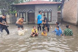 Bukan banjir yang ditakuti warga Sergai, tapi bencana ini