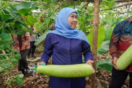 Khofifah apresiasi SMAN 1 Dampit jadi role model ketahanan pangan