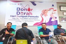 Transformasi digital PMI