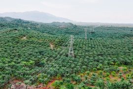 PLN tingkatkan keandalan dan Infrastruktur jaringan listrik