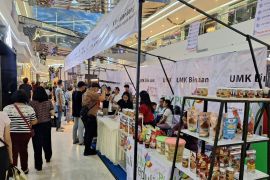 UMKM Binaan PLN: Variasi produk unggulan curi perhatian pengunjung