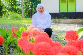 Khofifah sebut Bunga Desember miliki nilai historis dan spiritual